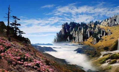 Ezhou Shennongjia National Forest Park, Gizli Şelaleler ve Efsanevi Bitkiler ile Dolu Bir Cennet!