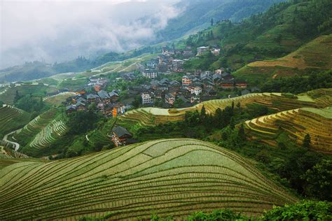 Guilin Suanling Shisheng Jingi ve Çay Tarlaları! Çin'in Gizli Cennetini Keşfedin.