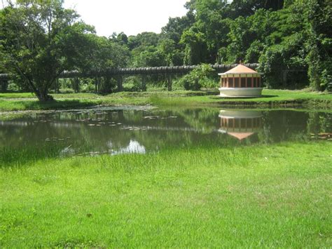  Jardim Botânico de João Pessoa: Harika Bitkiler ve Muhteşem Şelalelerle Doludur!