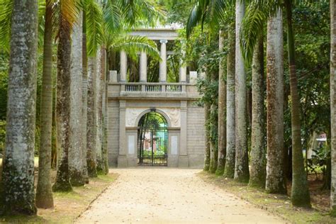 Jardim Botânico do Rio de Janeiro: İşte Tropikal Bir Cennete Yolculuk İçin En İyi Rehber!