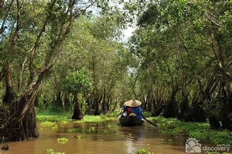 Mekong Delta'nin Gizli Hazinesi: Kayaking ile Yenilebilir Bağları Keşfedin!