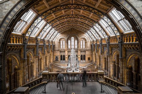  Oxford'ın Büyüleyici Tarihiyle Buluşun: Oxford Üniversitesi Müzesi'nde Zaman Yolculuğuna Çıkın!