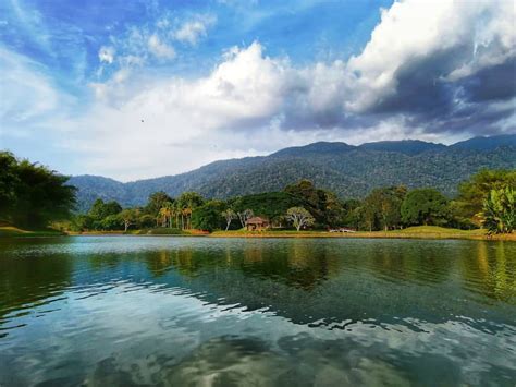  Taiping Lake Tarihi ve Manzarasına Hayran Kalın!